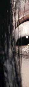 The Ghost, Sadako, from the original, Ring
